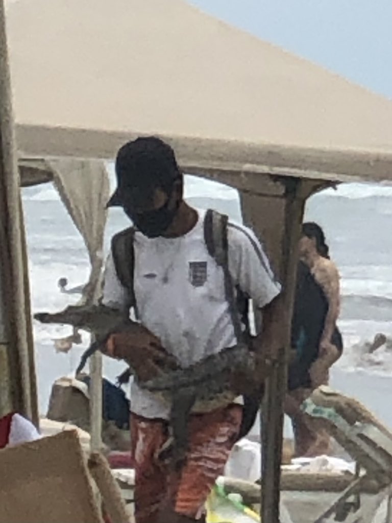 Dogin Hood AC tweet media