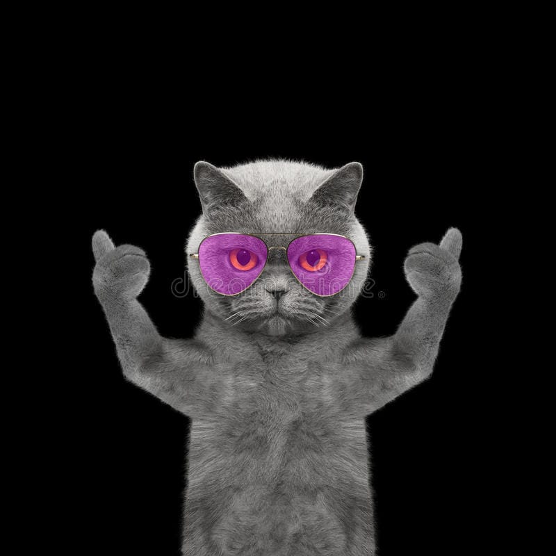 Котик показывает лайк