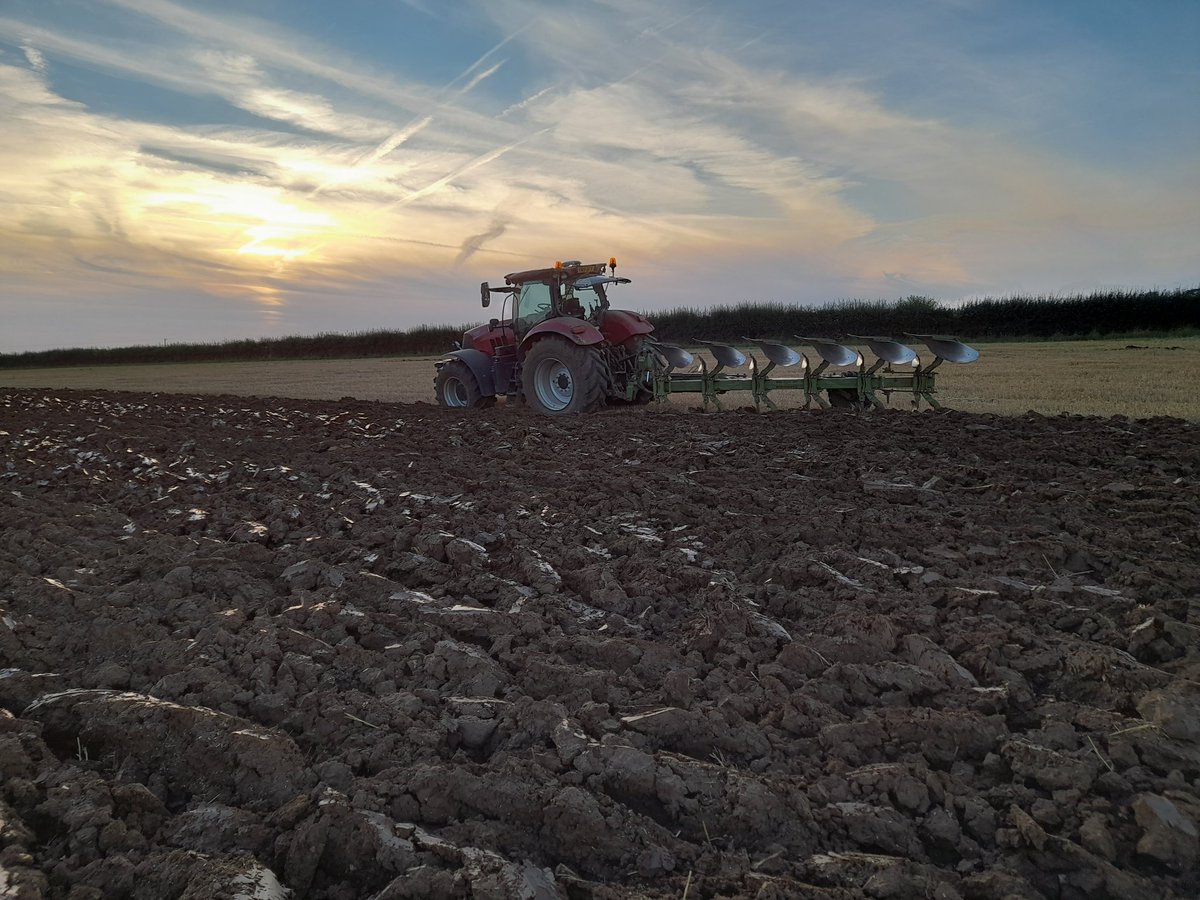 Lmillsy_135's tweet photo. No till Monday's only please 😂...fantastic to be ploughing again! Not match standard but perfect conditions for browning some over #placement #ploughing #oldschool #cannotbeatit #favouritejob #casepuma #220 #farmstar #dowdswell #plough #totheboundary #bye #bye #blackgrass https://t.co/Z39WncXODA