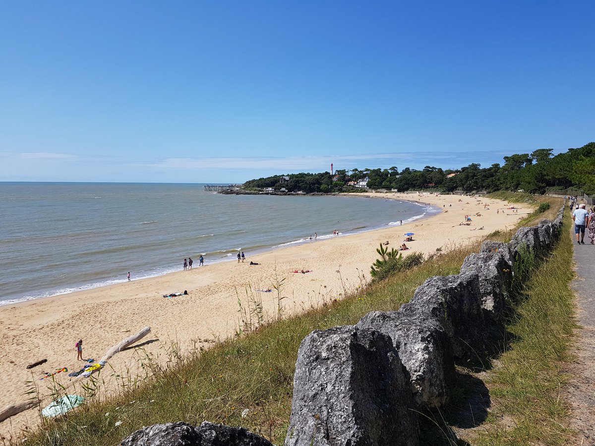 mustyWA🇫🇷🇨🇦 tweet media