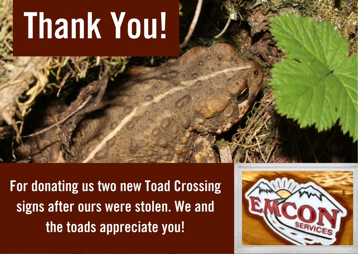 WildsightRevy's tweet image. We are so grateful at the generosity of spirit from our community members, many of you offered to pay for new Toad signs when ours were stolen.

Our friends at Emcon Services inc pipped you to the post and have donated us two new signs.

Thanks so much, from us &amp;amp; the toads! 🐸