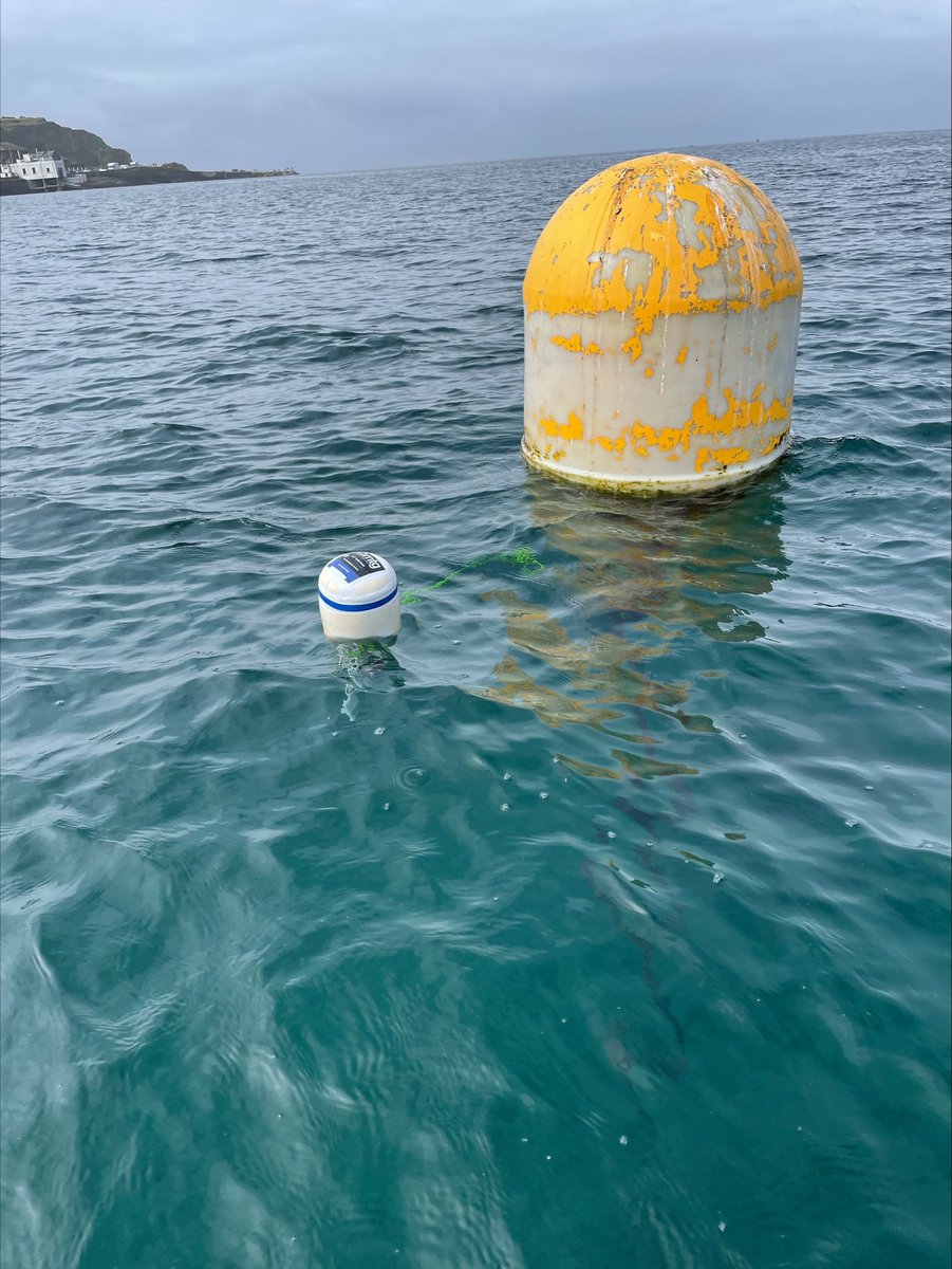 manxtechgroup's tweet image. Water temperature #iot &apos;test&apos; buoy in Port Erin Bay.  Measuring sea temperature every 10 minutes.  Data is transmitted using LoRaWAN wireless into Microsoft Azure. More measurements to follow

Trial facilitated by
@iominfra @DigitalIOM @PortErinComs 

zcu.io/895k