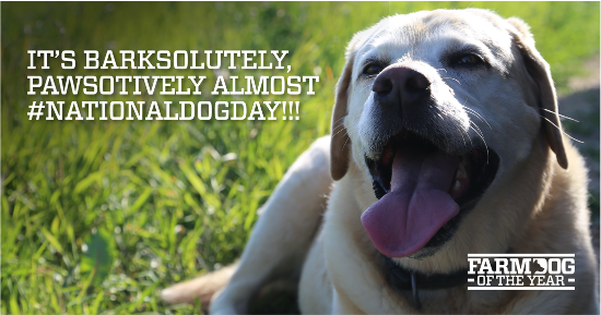 It’s barksolutely, pawsotively almost #NationalDogDay!!!! 🐾 🐶  Don’t forget to comment below with a pic of your four-legged friend with the hashtag #FarmDogOfTheYear to win the title of #FarmDogOfTheYear 👑  and a year subscription to Bark Box 📦  for your puppers.