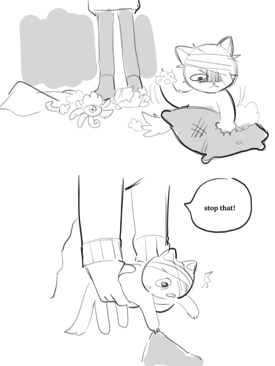 cat stranger is such a funny concept 