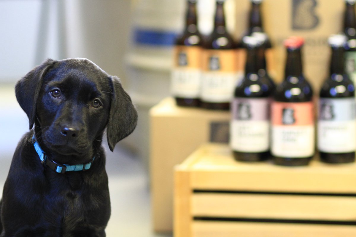 Burnside Brewery tweet media