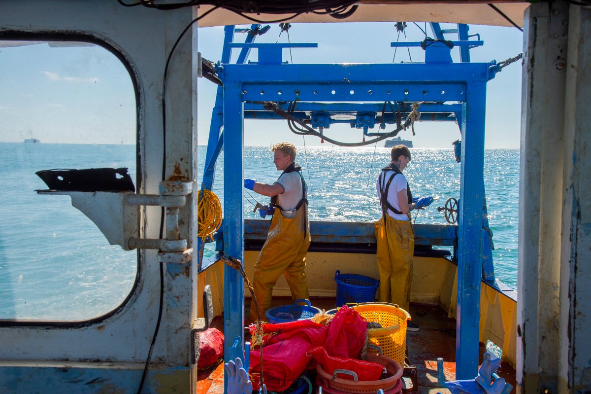 We have issued an urgent #Safety message to fishing vessels about lifting equipment inspections, following a number of fatalities.

Read the bulletin and our recommended actions here ➡️ bit.ly/3gq8e2o

#FishingSafety #InspectionsSaveLives #SafetyFirst