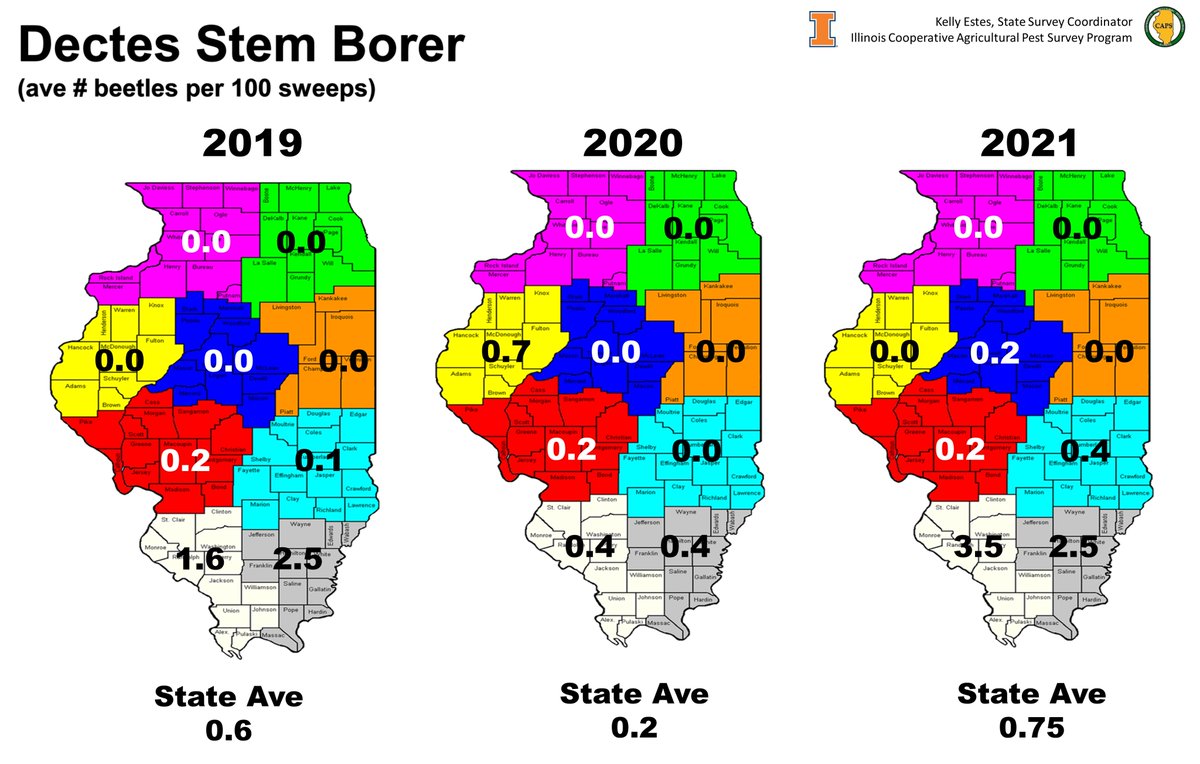 ILPestSurvey's tweet photo. For the third year, #dectes stem borer has been included in our survey. Once again, numbers in southern IL were consistently higher in many fields. https://t.co/yzp5xFJIpu