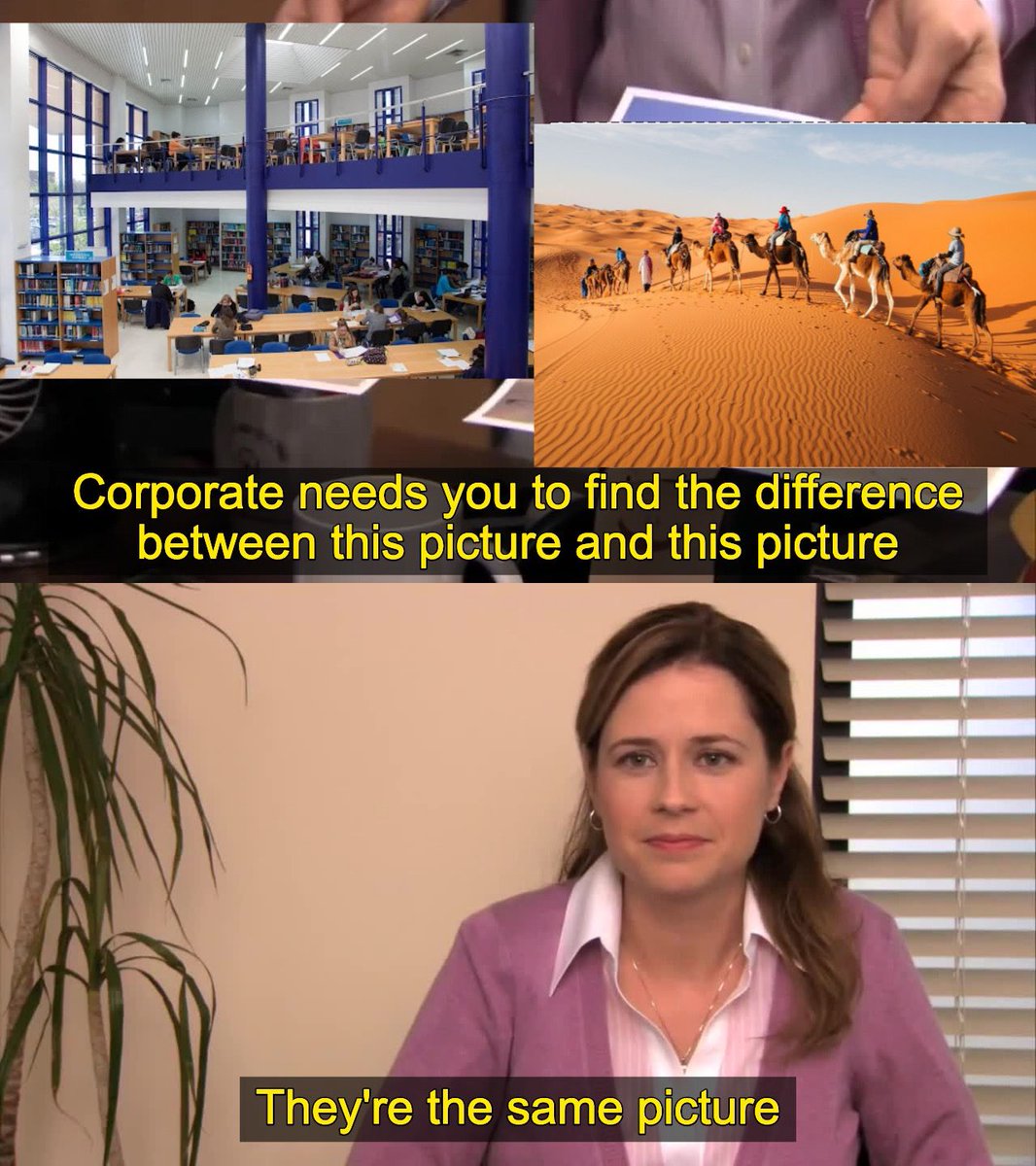 Descripción gráfica del día de hoy