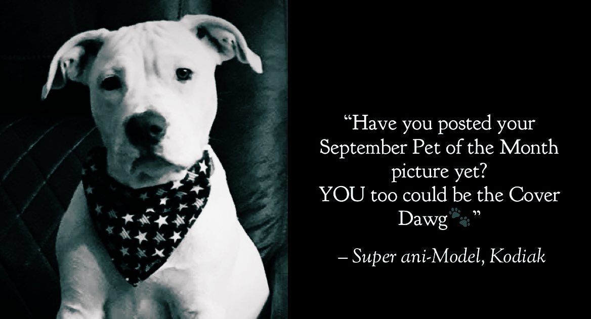 farmsteadvmc's tweet photo. Head over to FB &amp; enter your Super ani-model! 🐾#petofthemonth #freestuff https://t.co/jQKdHixLCL