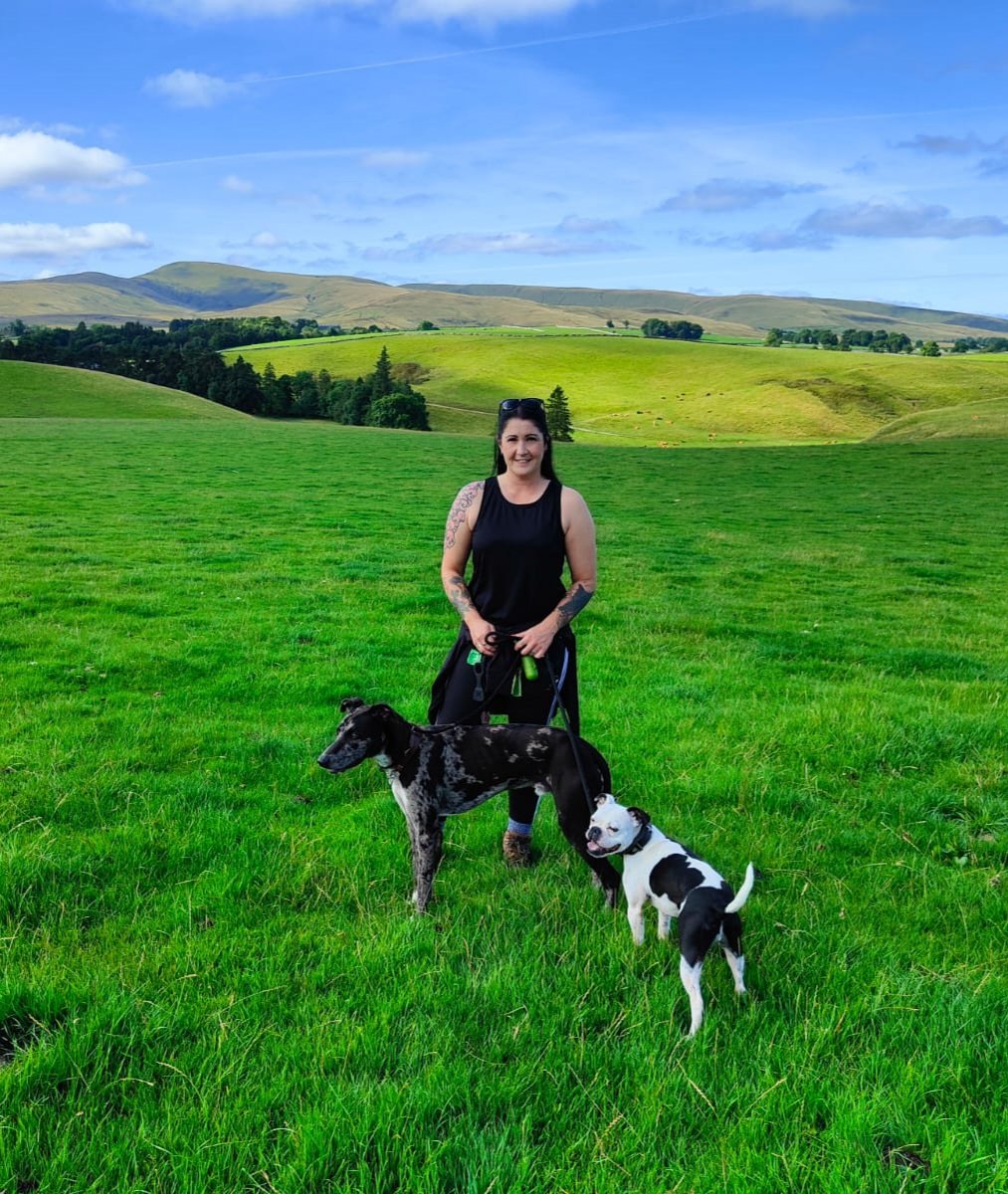 Rachh666's tweet photo. #livingthedream #dogwalkersholiday #norestforthewicked https://t.co/3RmMPzj8Tb