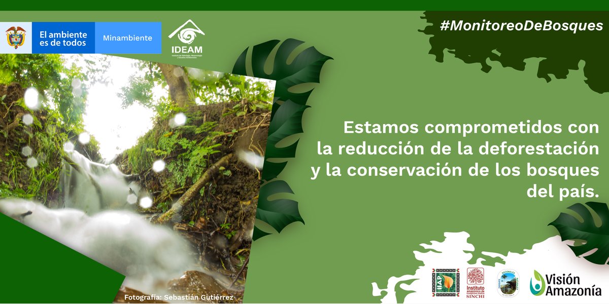 IDEAMColombia's tweet photo. 👨💻🌳Identificar los núcleos activos de deforestación, principalmente los propiciados por actividades ilegales, es uno de los propósitos del Sistema de #MonitoreoDeBosques del Ideam.🔎🌳📈 https://t.co/utbYMBw1xx