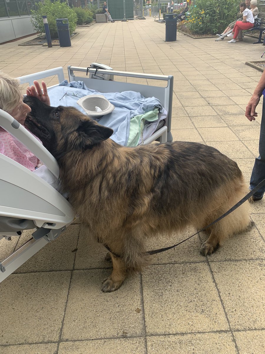 PHB STROKE UNIT tweet media