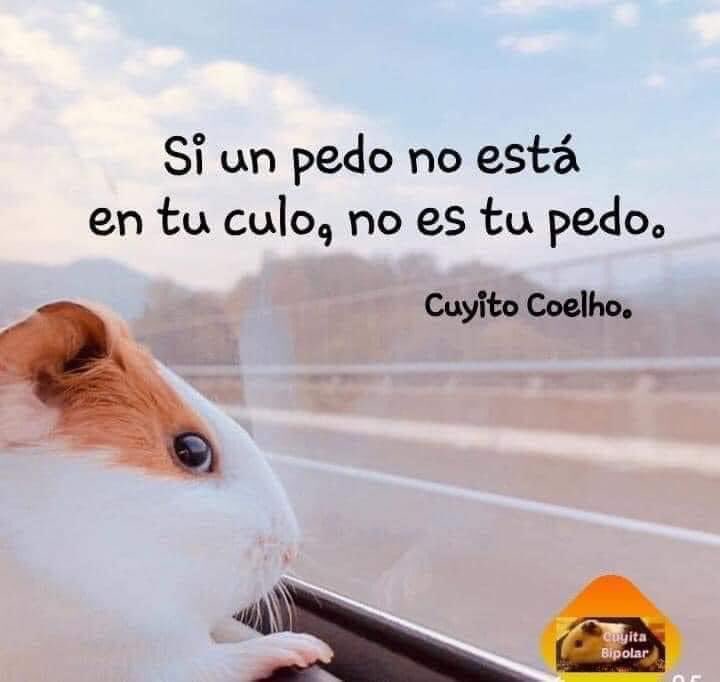 mariavgmz's tweet photo. https://t.co/aqggtggm8v