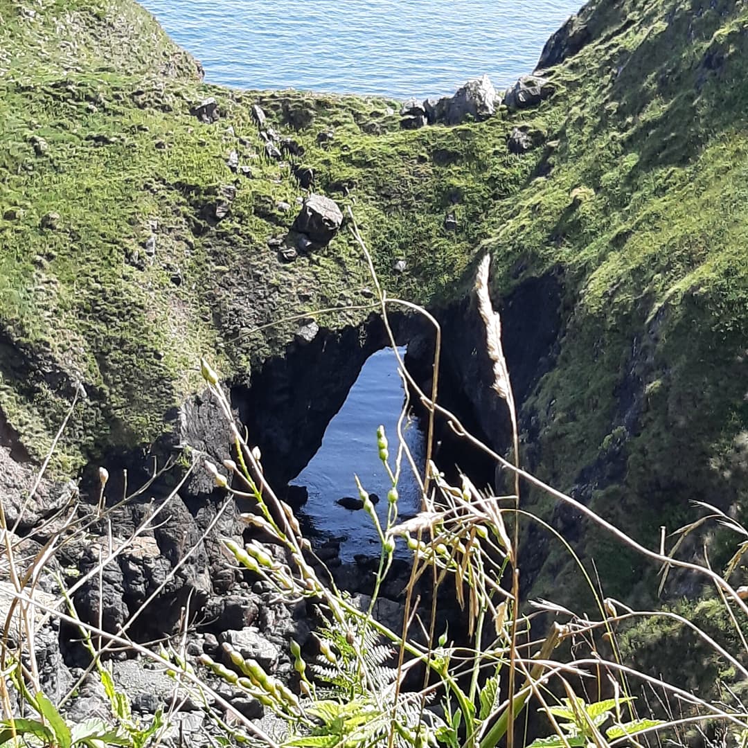 Cornish_Hol_Esc's tweet photo. Stunning circular walk today from #lizard to #Cadgwith. Making the most of the sunshine #summer #coastalwalk #Cornwall https://t.co/9n1o4XapOu