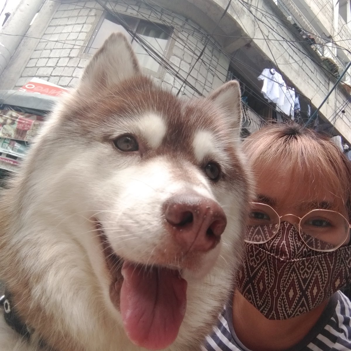 softysb's tweet image. can i just say siri glowing in this selfie