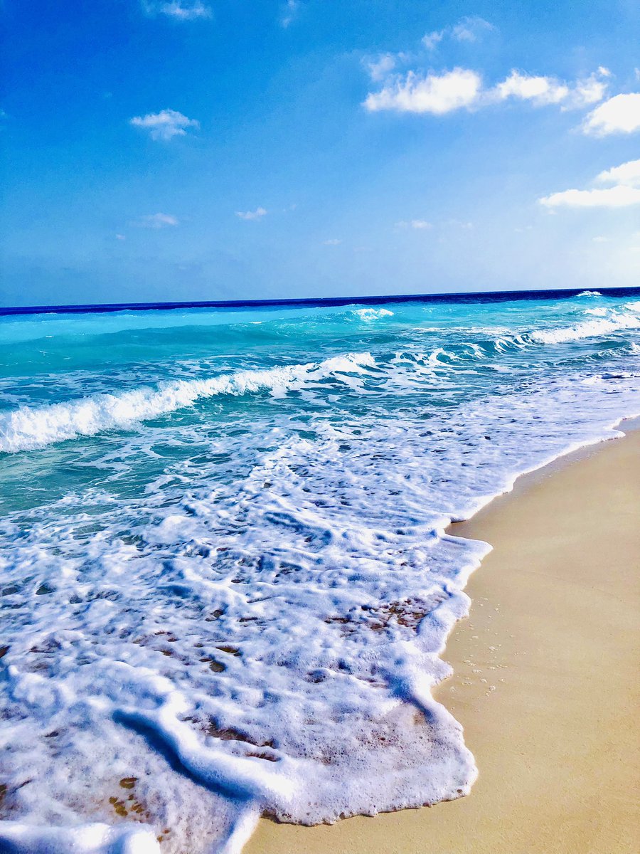 في غفله من النباطشيات طلع الفوتوجرافر الصغنن اللي جوايا