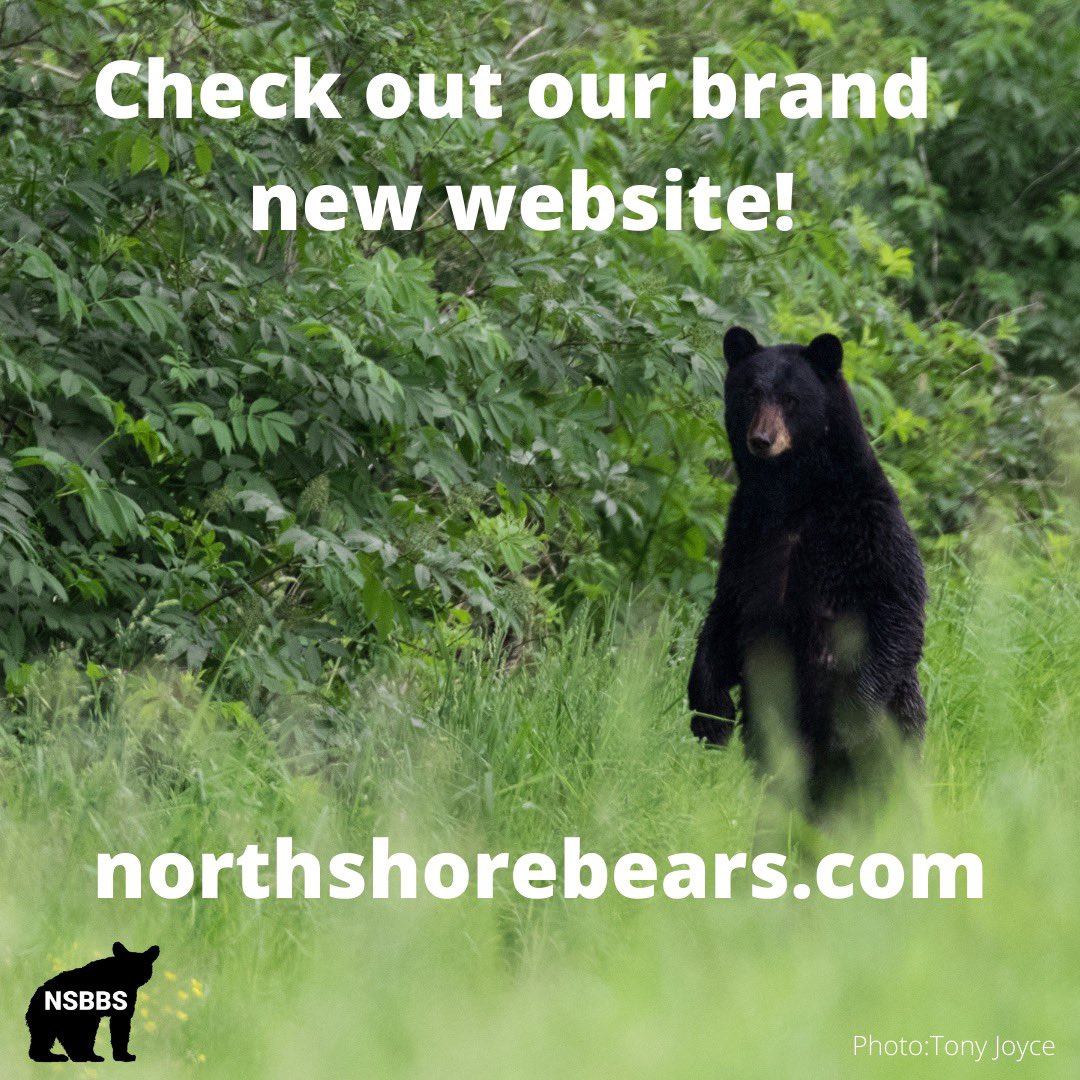 #northshore <a href="/CityOfNorthVan/">City of North Vancouver</a> <a href="/WestVanDistrict/">District of West Vancouver</a> <a href="/NVanDistrict/">District of North Vancouver Discussion</a>