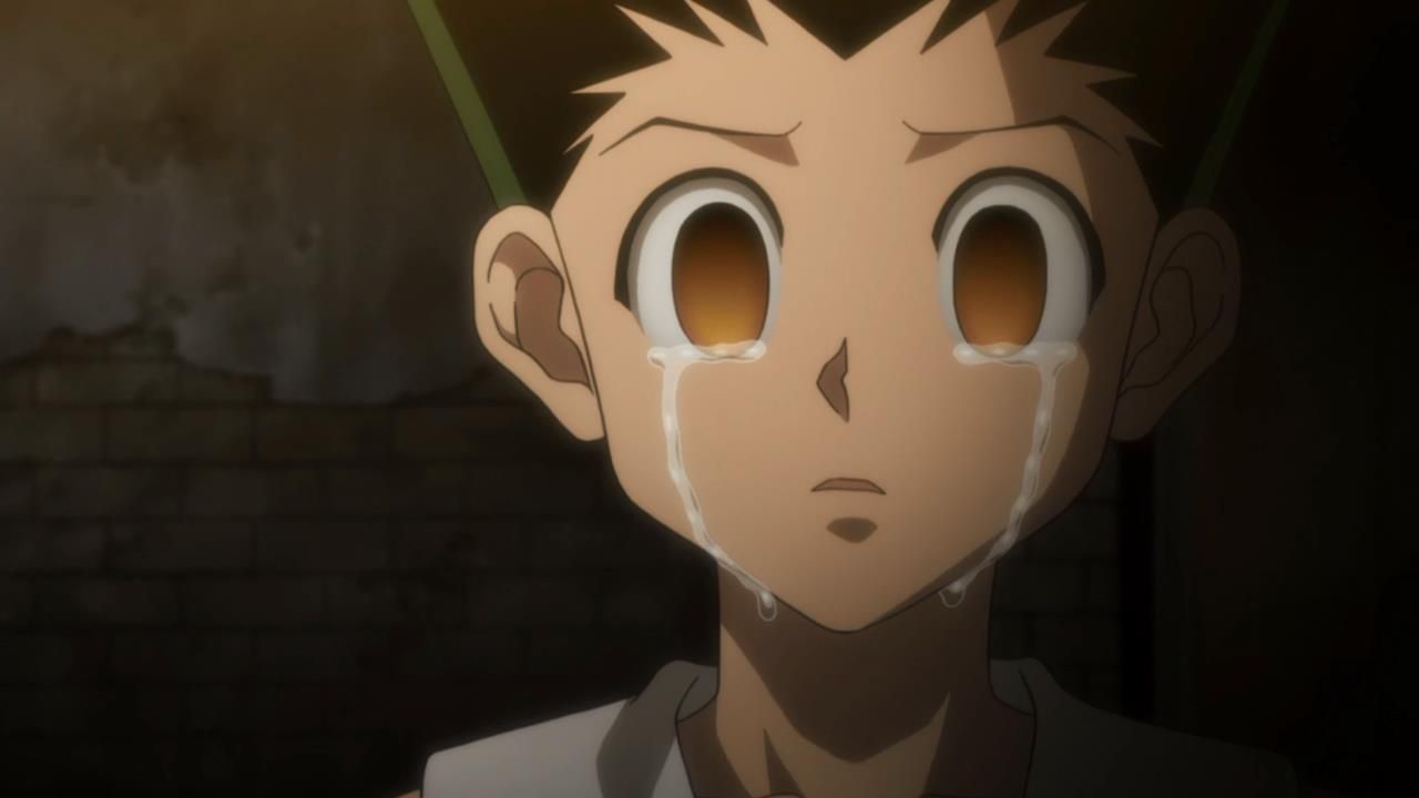 Triste porém verdade ;-;, Hunter X Hunter