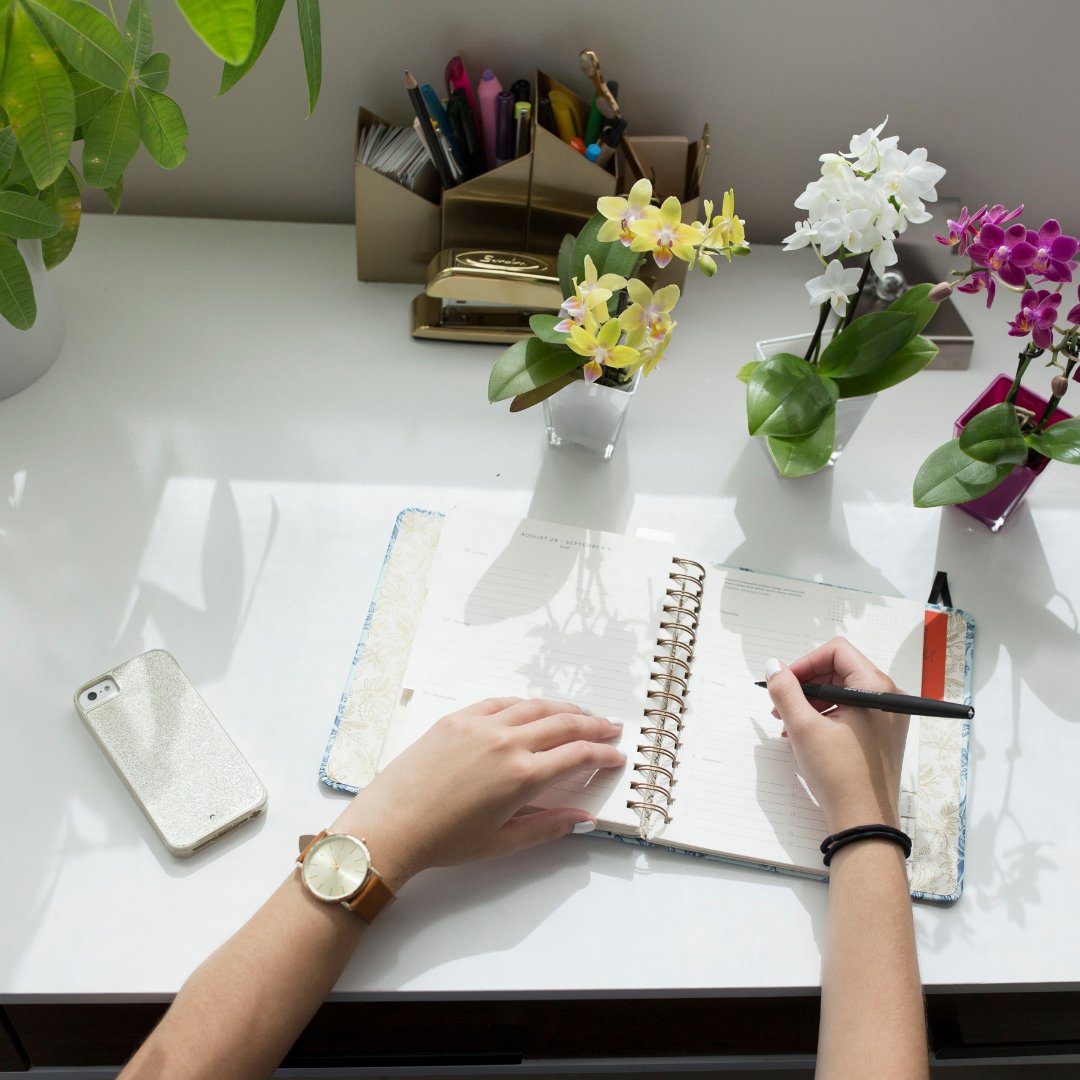 Welcome back to school to all the schools in Miami Dade County. We wish you students, teachers and faculty  a wonderful school year!

Don't forget to share a beautiful orchid this year for your teachers. Remember sharing is caring 😊
 #orchidlover #orchidcollection