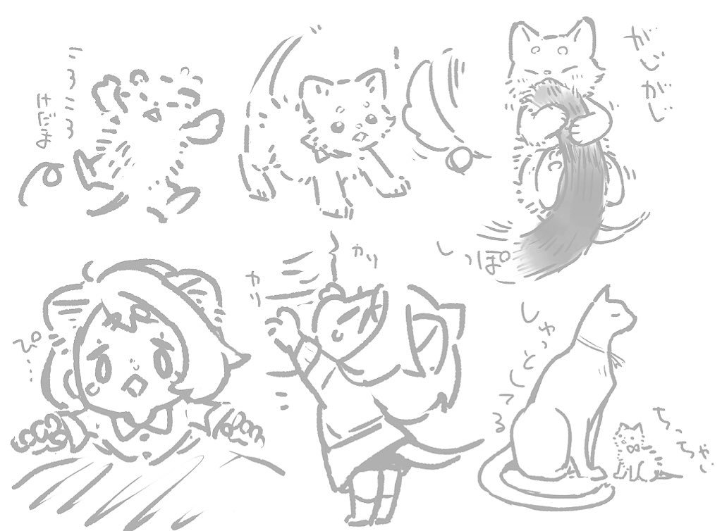 ねっこっちゃー 