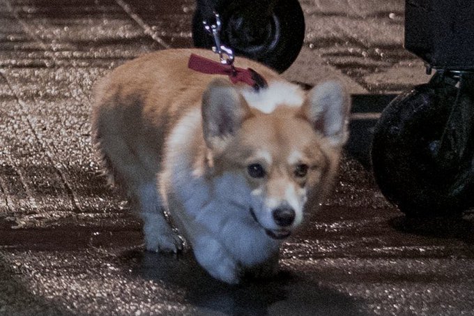 実写版 カウボーイビバップ 21年11月19日よりnetflixにて配信