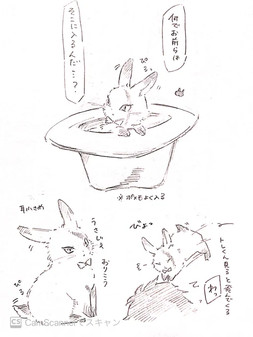 リボンつけた🎀 