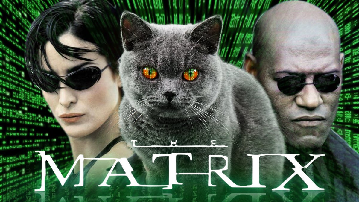 I’m Leo, Not Keanu Reeves. Welcome to The Matrix 2: Reloaded youtu.be/JFmXtskGMvQ qua @YouTube