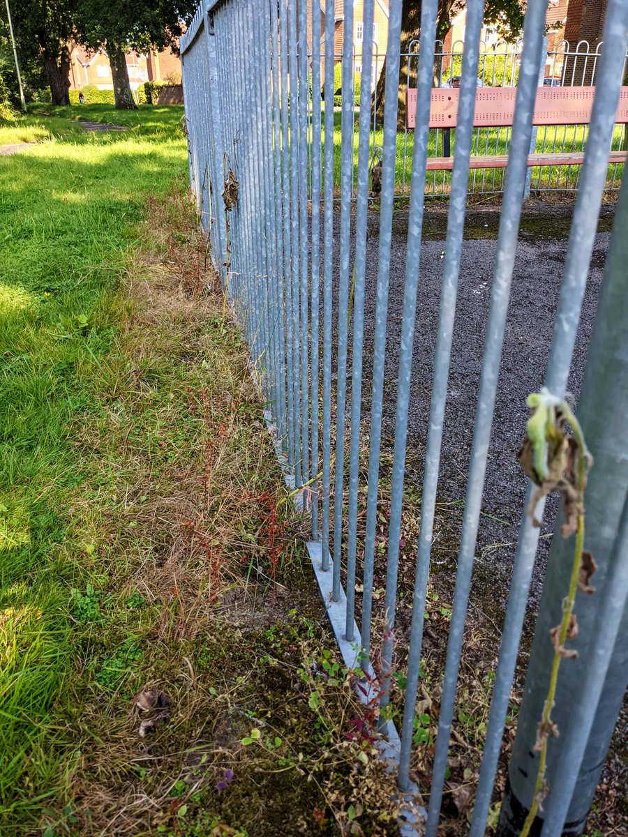 Healthy Streets Petersfield tweet media