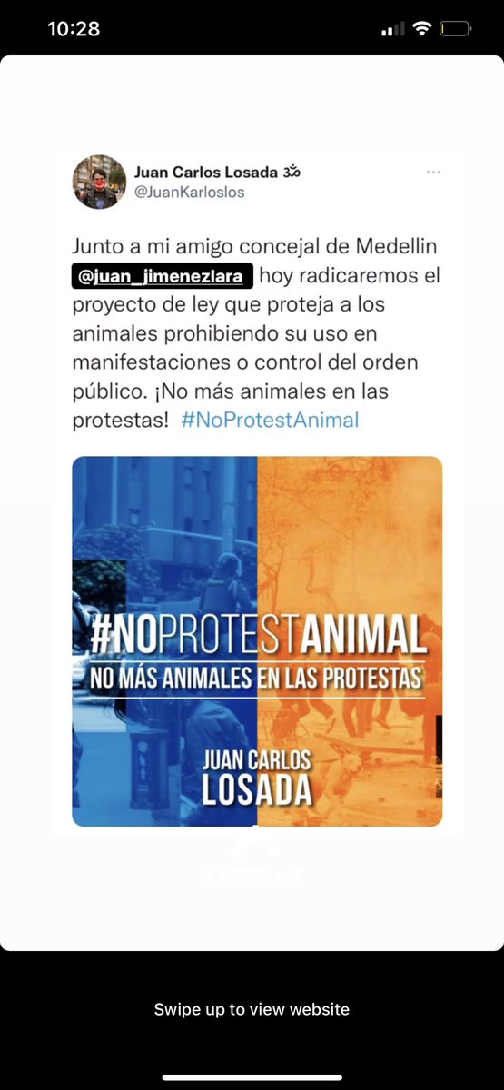 bedogpack's tweet photo. #colombia le dice #NoProtestAnimal, No más animales en las protestas, 🐶🐴 expuestas a gases lacrimógenos pueden enfrentarse a ceguera temporal, conjuntivitis, irritación de la piel, irritación estomacal o hasta la muerte
 #fundaciondogpack apoyamos la aprobación! @JuanKarloslos https://t.co/Jt029yEZFW
