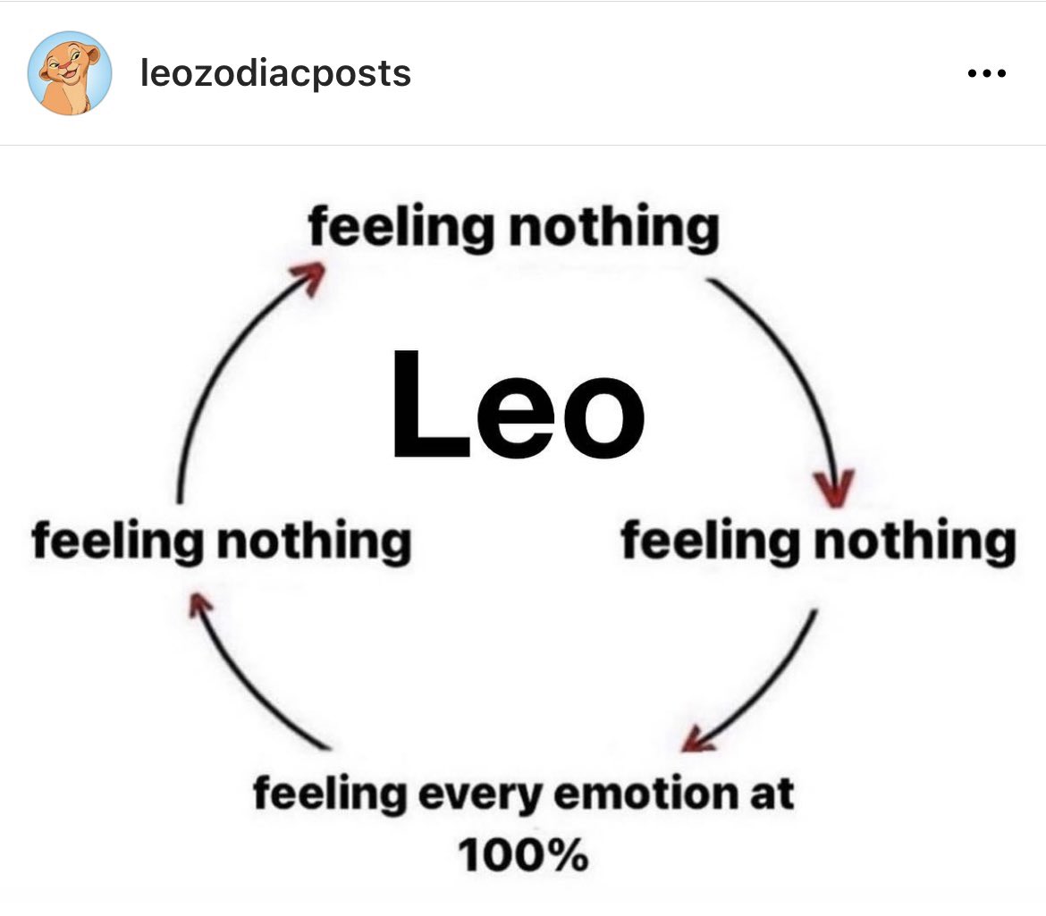 Leo Ig Quotes Awesome Leo Bio For Instagram | Leo Bio Captions