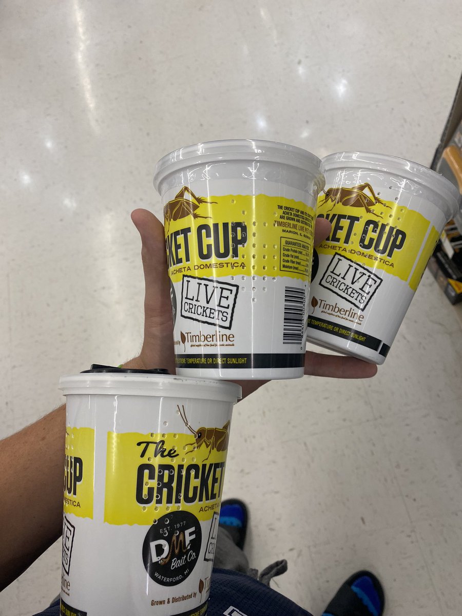 JakeDotHerbert's tweet photo. @Walmart y’all are selling dead crickets labeled as live crickets! I get they’re just crickets but y’all shouldn’t even sell these if you’re gonna let them all die on the shelves! https://t.co/jOqkJkfz95