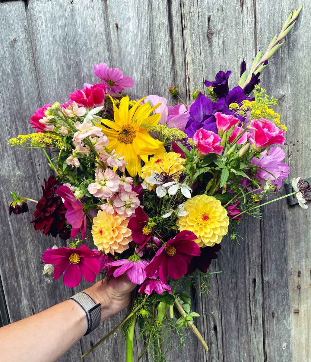 From me to you! 🥰 Cut flowers from the allotment 🌻 
#flowerpower #flowersmakepeoplehappy #gardening #allotment