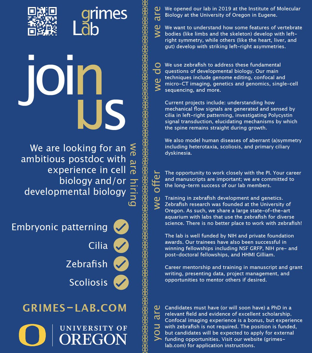 Daniel T Grimes (@dantgrimes) on Twitter photo My lab <a href="/uoregon/">University of Oregon</a> is looking to hire a postdoc. We do cell and developmental biology using zebrafish in an interdisciplinary and supportive department with beautiful surroundings. Lots of cool projects ready to go... join us.
RTs appreciated!
#postdocjobs #zebrafish #cilia My lab <a href="/uoregon/">University of Oregon</a> is looking to hire a postdoc. We do cell and developmental biology using zebrafish in an interdisciplinary and supportive department with beautiful surroundings. Lots of cool projects ready to go... join us.
RTs appreciated!
#postdocjobs #zebrafish #cilia