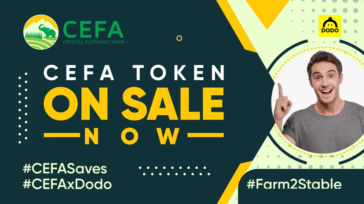 Crystal Elephant Farm (CEFA) tweet media