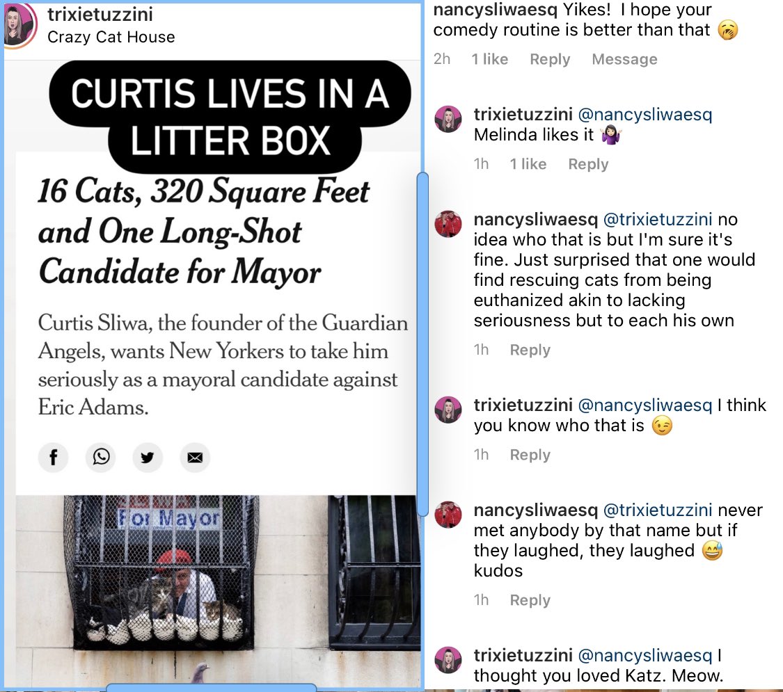 Tracey Carnazzo tweet media