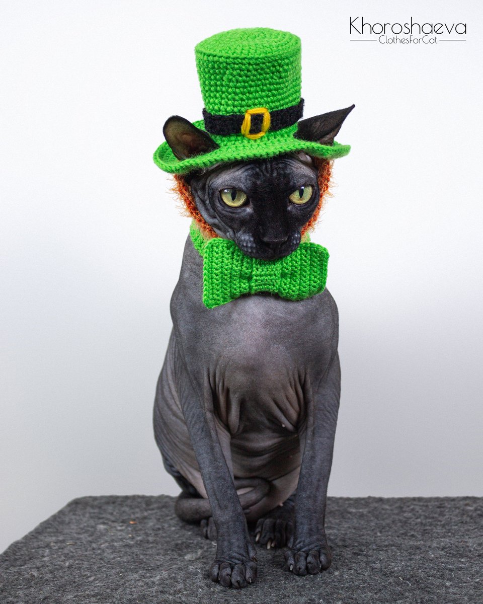 ClothesForCat's tweet photo. Excited to share the latest addition to my #etsy shop: St Patrick's costume for cat crochet pattern PDF// Leprechaun hat with a beard and bow tie with collar for cat https://t.co/xQ48nGIiw9 #birthday #stpatricksday #crochet #catcrochetpattern #catcostume #costumeforcat https://t.co/4eUIm2h6p7