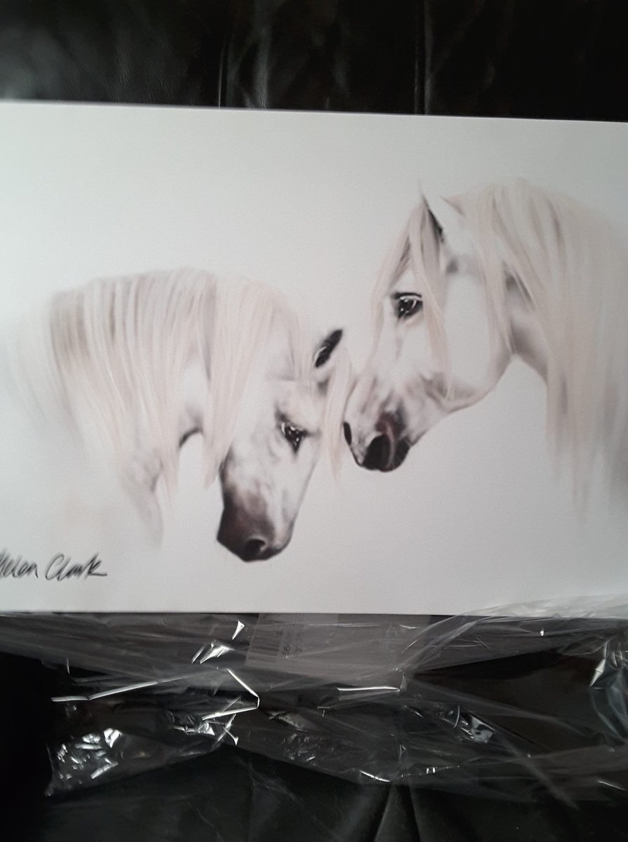 qu1ncey's tweet image. #k9hour Lainy&apos;s rescue (Kettering Northants) are raffling this beautiful canvas to help pay the vets bill 

Info: facebook.com/Laniysrescueau…

#horsechat #ponychat #horsechathour #horses #ketteringhour
