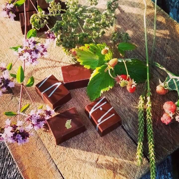 ForagingF's tweet image. The programme for Foraging Fortnight features over 50 events, hosted by foraging and wild food businesses, taking place across Scotland 11th - 25th Sept.
foragingfortnight.co.uk 

#wellbeing #foraging #wildplants #WildDining #fungi #nature #ScottishWildFoodFestival