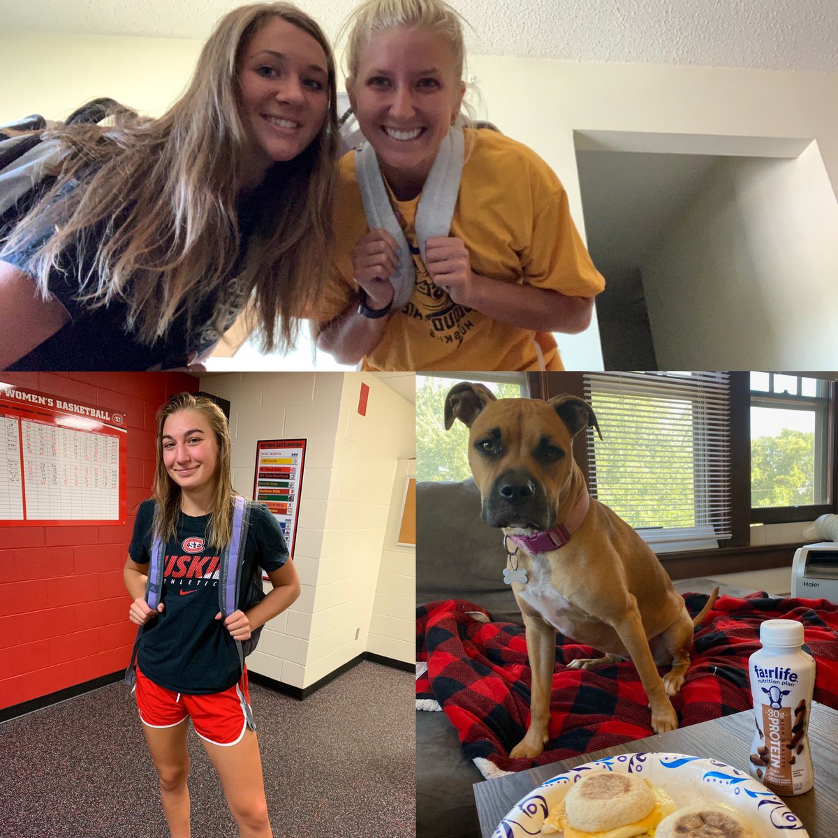 SCSUHuskies_WBB's tweet photo. The first day of ON CAMPUS classes feeling! 💪📚✏️🐶🤩 https://t.co/d5bv78MDKZ