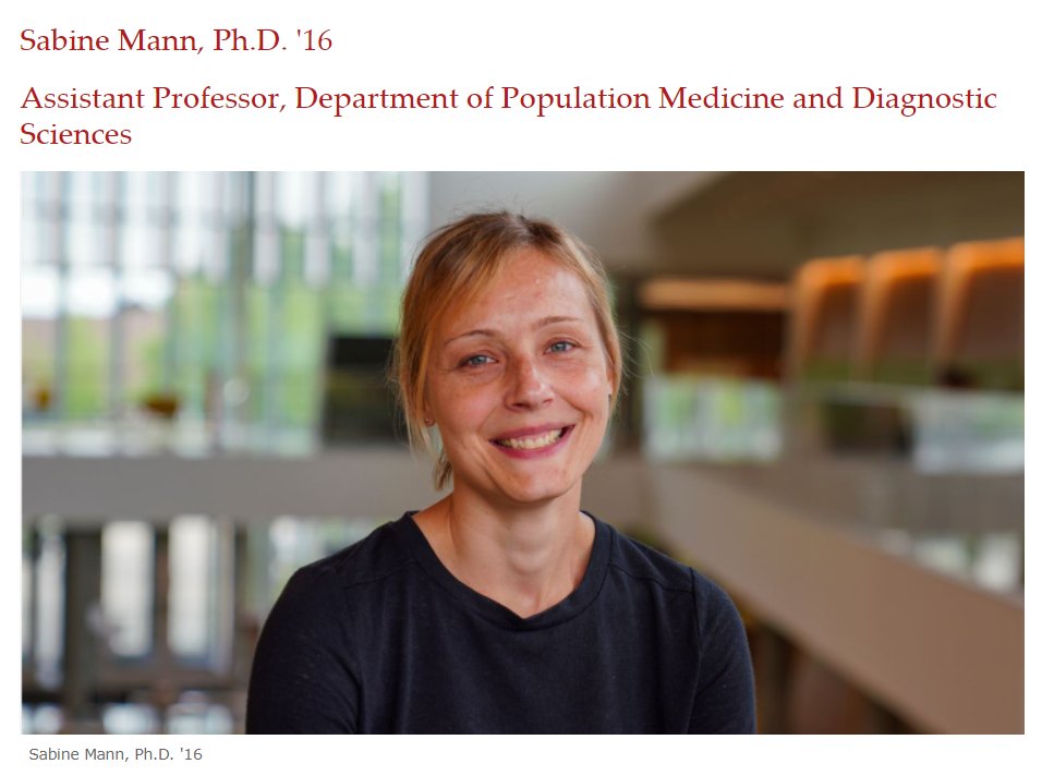 jmcartdvm's tweet image. @cornellvet has highlighted 3 amazing early career #WomenInSTEM, one of whom I have the pleasure to work closely with as a fellow #CornellAmboVet. Have a look at her research, projects, and career path! #Sciencer

vet.cornell.edu/scopes/issues/…