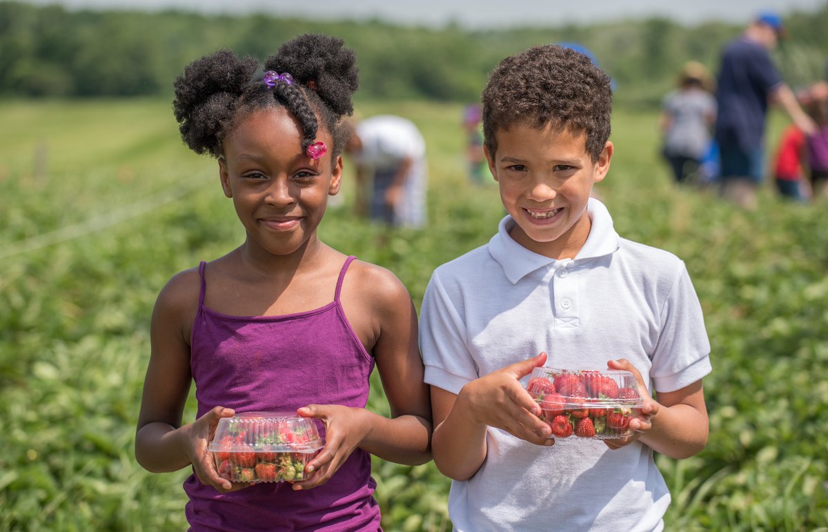 Hiring a Food System specialist. Posting closes on Tuesday, August 31st. 
Distribution, procurement, product diversification, marketing strategies, promotion of local foods, access to new markets, efficiency, and economic analyses. 

tiny.cc/Food_Systems_2…