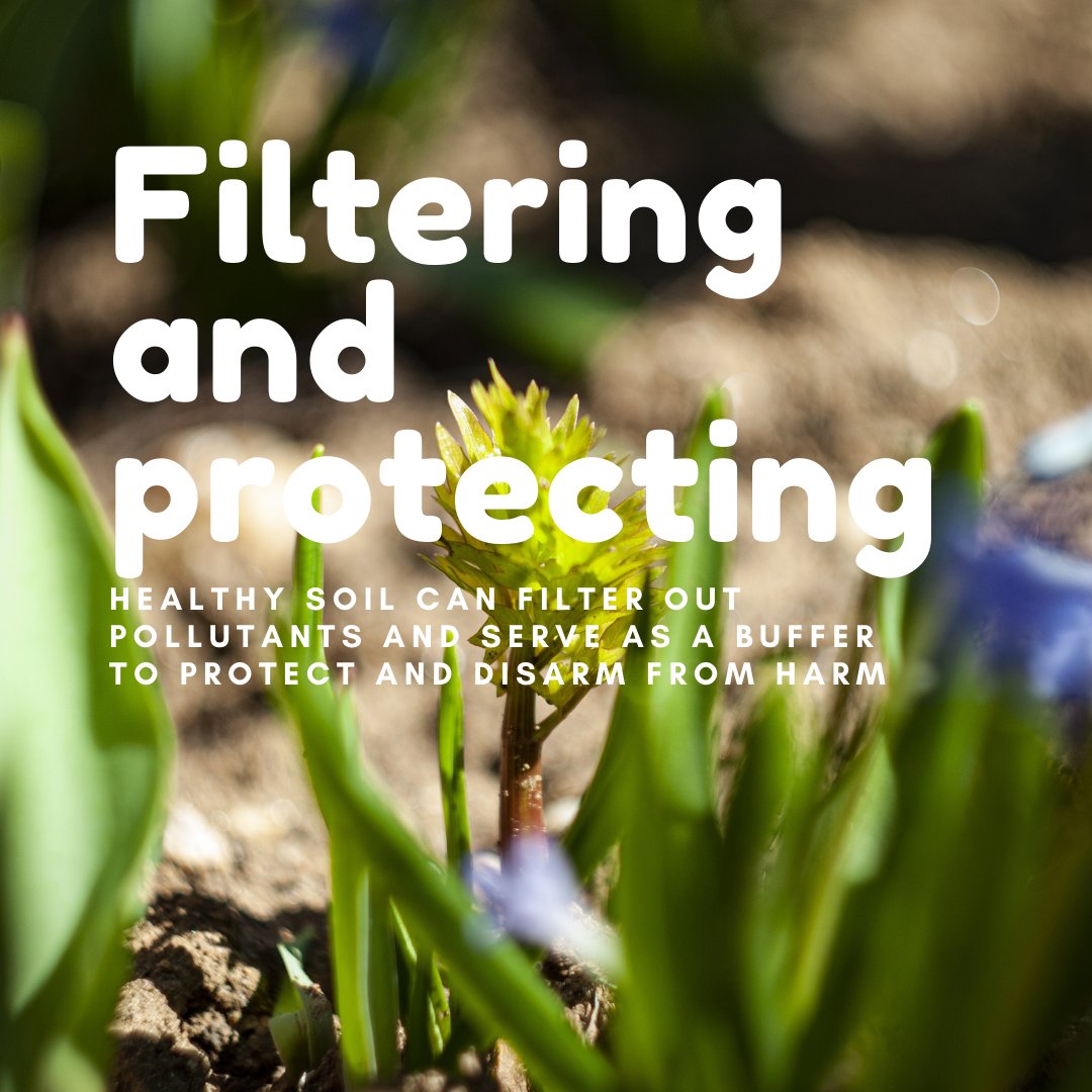 peat_free's tweet photo. We love telling everyone why we love a soil that works as it should and helps us do things!

There are so many reasons why working towards establishing healthy, sustainable soil is a good thing to do - for whatever it is you do in, on or around it. https://t.co/oxcahoQsxt