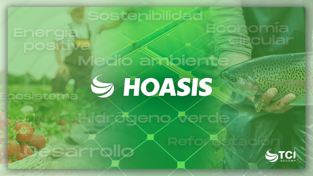 tcigecomp's tweet photo. Una de las partes integrantes de la economía circular basada en #HidrógenoVerde que define nuestro proyecto ♻️#HOASIS, es la acuaponía.
Este es un sistema de producción de plantas y peces, que llevamos a cabo con agua desalada. https://t.co/0EWyGxgZ3K