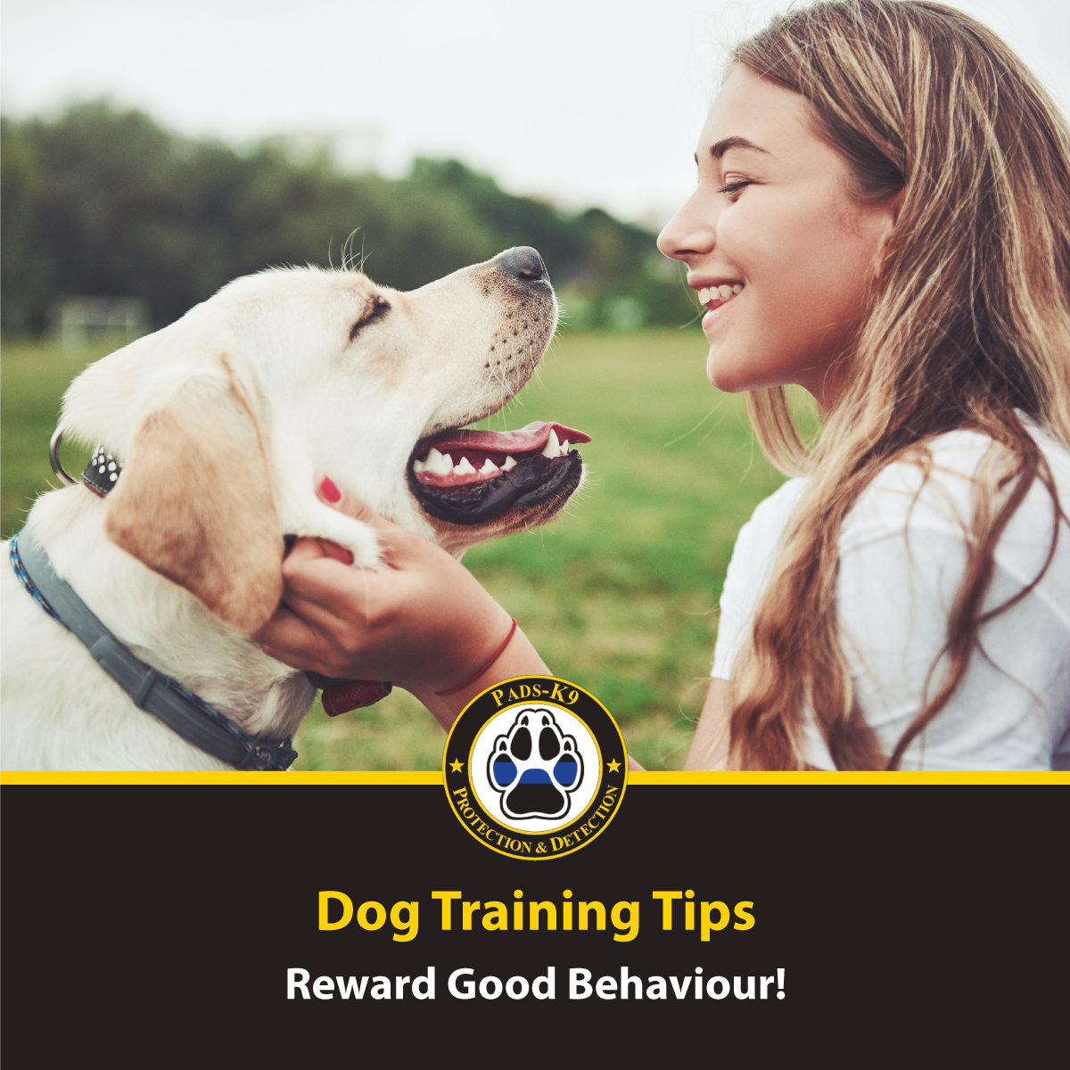 While this may seem like an obvious tip, be sure to give your dog a treat and some encouragement for a job well done! This will help them understand what kind of behaviour is acceptable and rewarded!  🦴🐶

Our Dog Training Programs: ow.ly/emcR30rRPmH