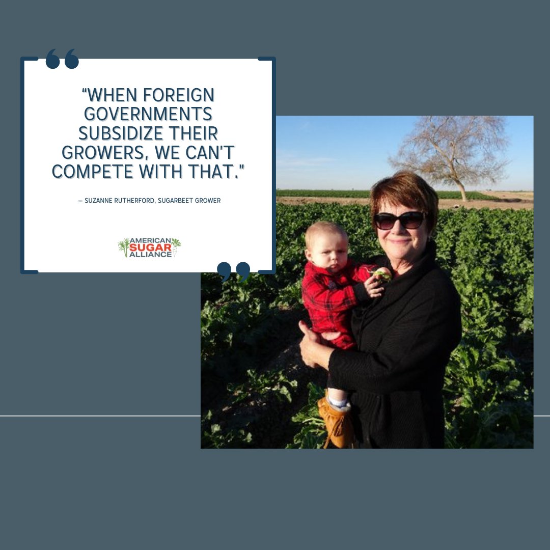 SugarAlliance's tweet photo. America’s sugar growers are among the most efficient in the world. They could compete against foreign sugar growers on a level playing field, free of market-distorting subsidies, but they cannot compete against foreign treasuries. #ZeroForZero https://t.co/4mehTqrrbG