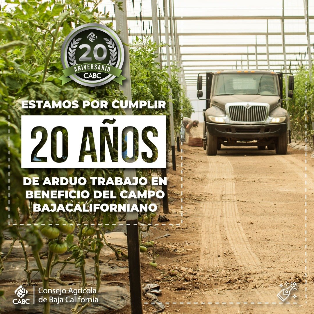 Consejo Agrícola de Baja California tweet media