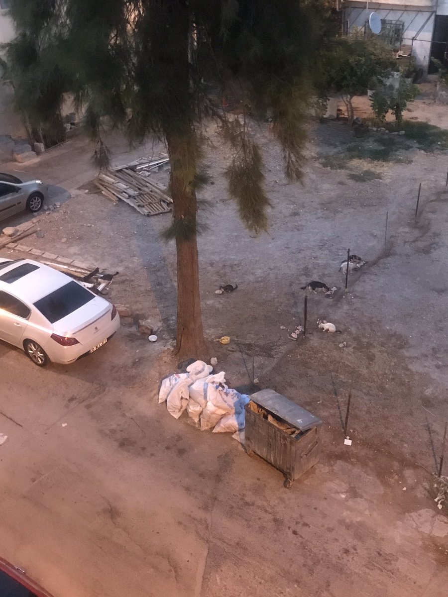 Buca hürriyet mahallesi 501 Sk no 11 boş arsa molaz ve tahta parcaları atmışlarbuca belediye de ilgilenmiyor  sokak bislik içinde <a href="/izmirgibiyiz/">izmirgibiyiz 🇹🇷</a> <a href="/izmirbld/">İzmir Büyükşehir Belediyesi</a> <a href="/tuncsoyer/">Tunç Soyer</a> <a href="/izmirhim/">İzmir HİM</a>