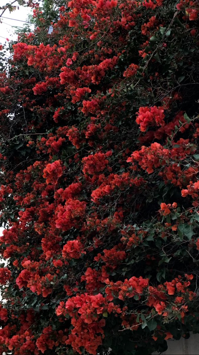 الله الله ايش ذَا الجمال يا فايزة ..
<a href="/____fooz/">فايزة</a>