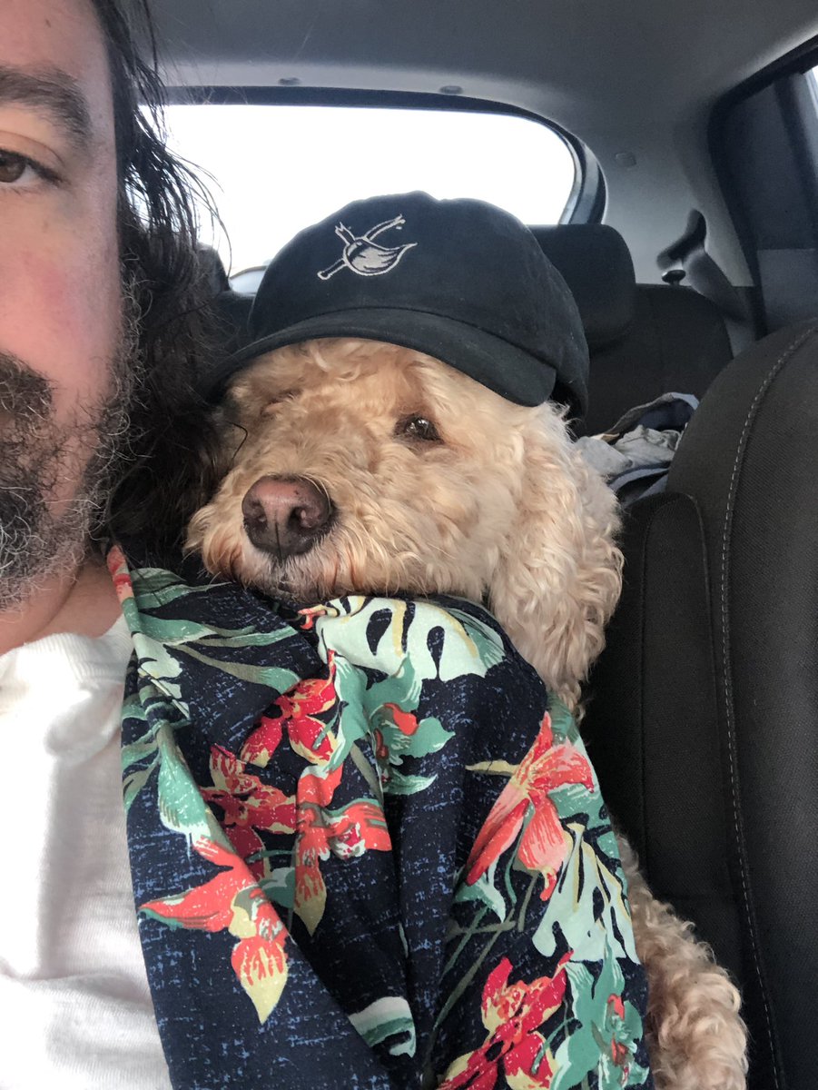 born ruffians (@bornruffians) on Twitter photo 