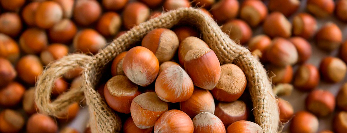 ¿Por qué es importante elegir ingredientes de forma sostenible?
Ayuda a garantizar la alta calidad que buscamos, reduce el riesgo, impulsa la innovación y promueve la transparencia en nuestras cadenas de suministro.